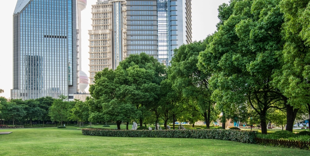 Responsible banking practices: benchmark study 2021