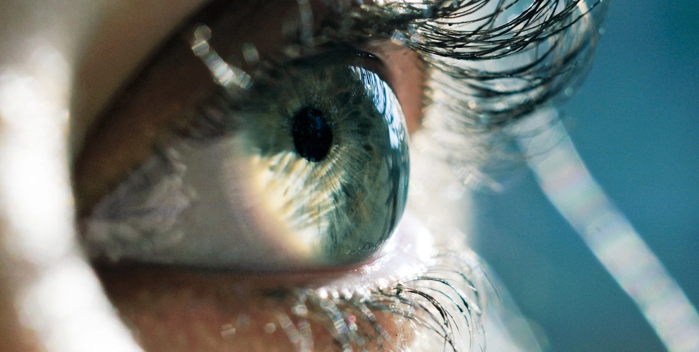 Audit & Assurance Audit & Assurance