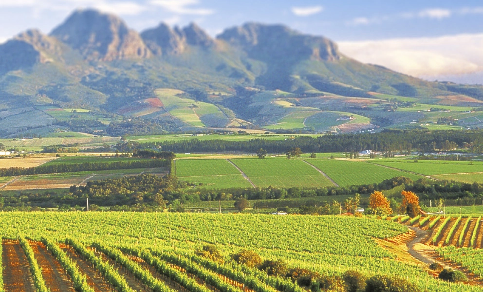 Sustainability Sustainability