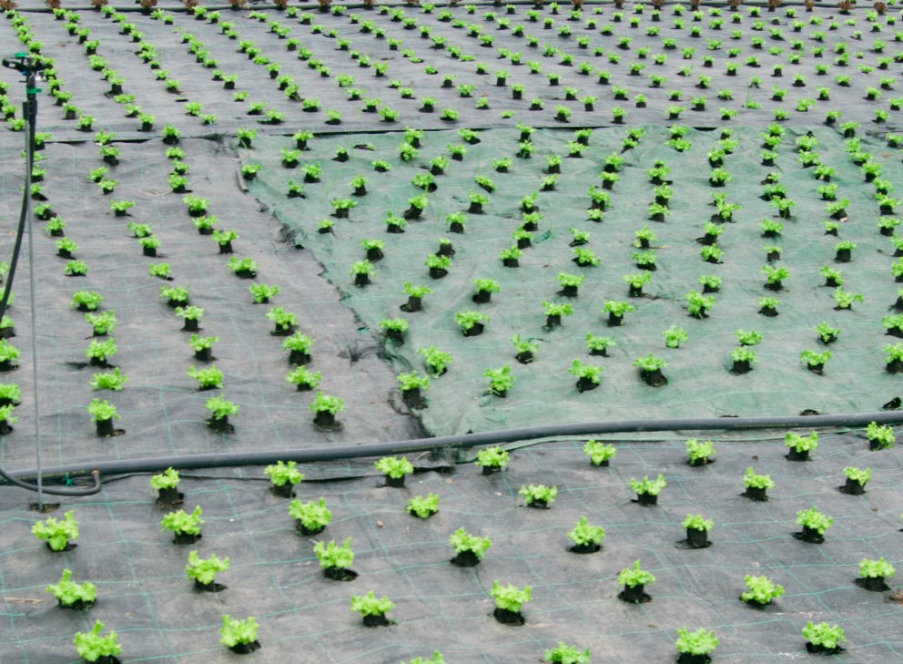 Implementation & transformation Implementation & transformation