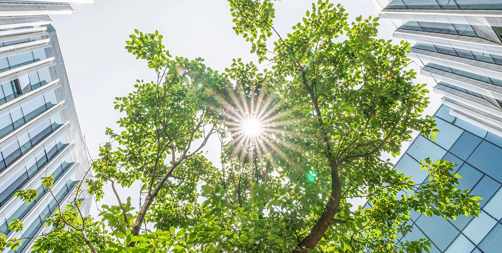  Mazars CEE Tax Guide 2023