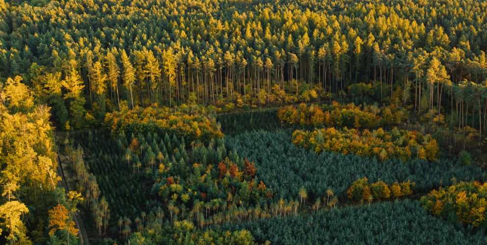 Überblick: Die IFRS Sustainability Disclosure Standards Überblick: Die IFRS Sustainability Disclosure Standards