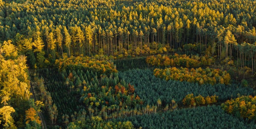 Überblick: Die IFRS Sustainability Disclosure Standards