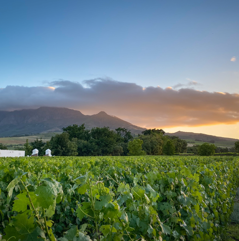 Umsatzsteuerlich getrennte Behandlung von Ehegatten und Ehegattinnen 