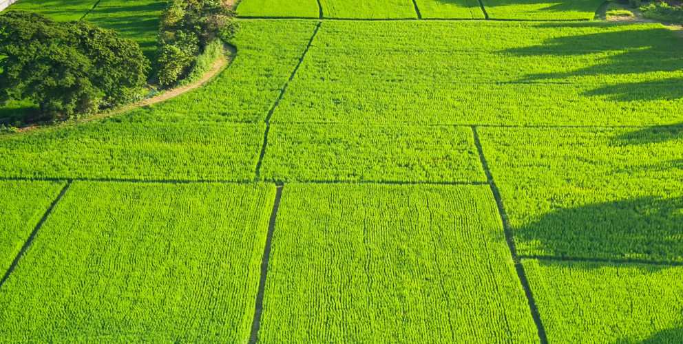 Gewerblicher Grundstückhandel bei Verkauf von mehreren Parzellen in kurzer Zeit