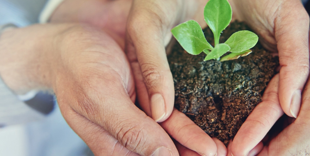 Warum braucht Europa eine Nachhaltigkeitsbericht-erstattung?