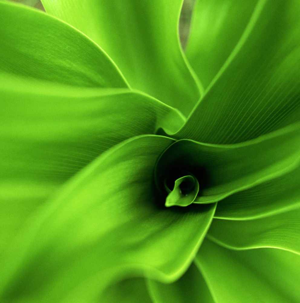 European Sustainability Reporting Standards