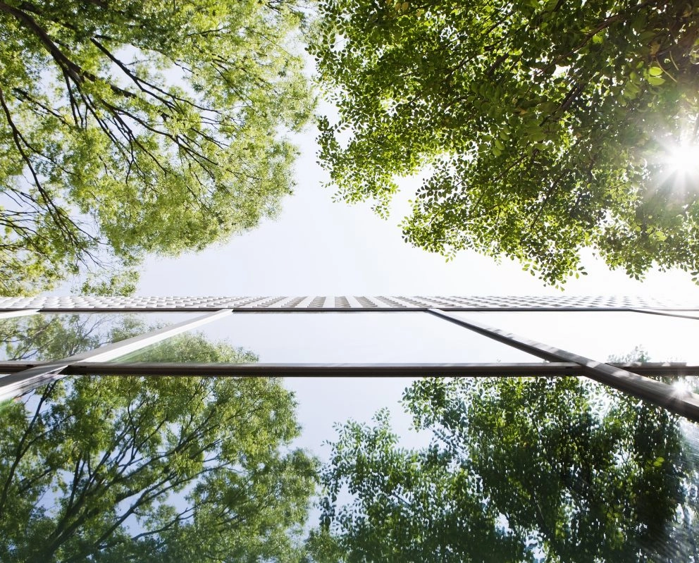 Energy, Infrastructure & Environment