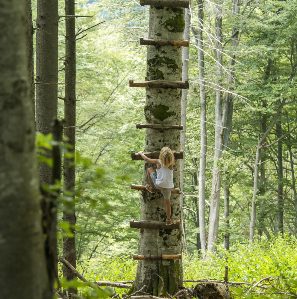 Privately owned business services