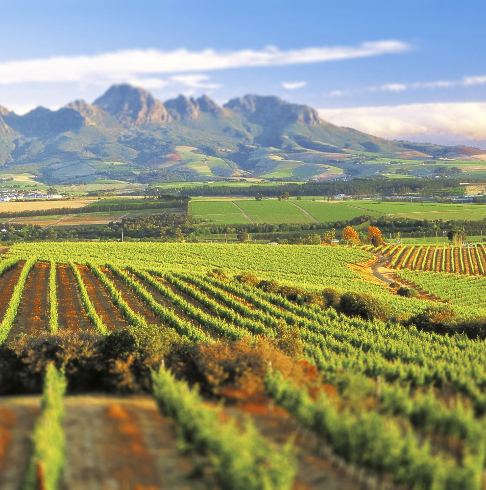 可持續發展服務 可持續發展服務