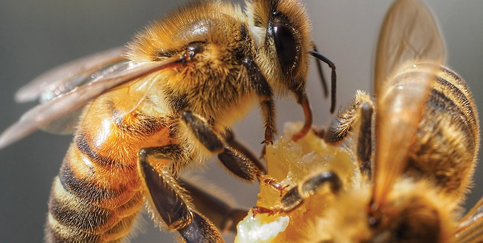 Sustainability Sustainability