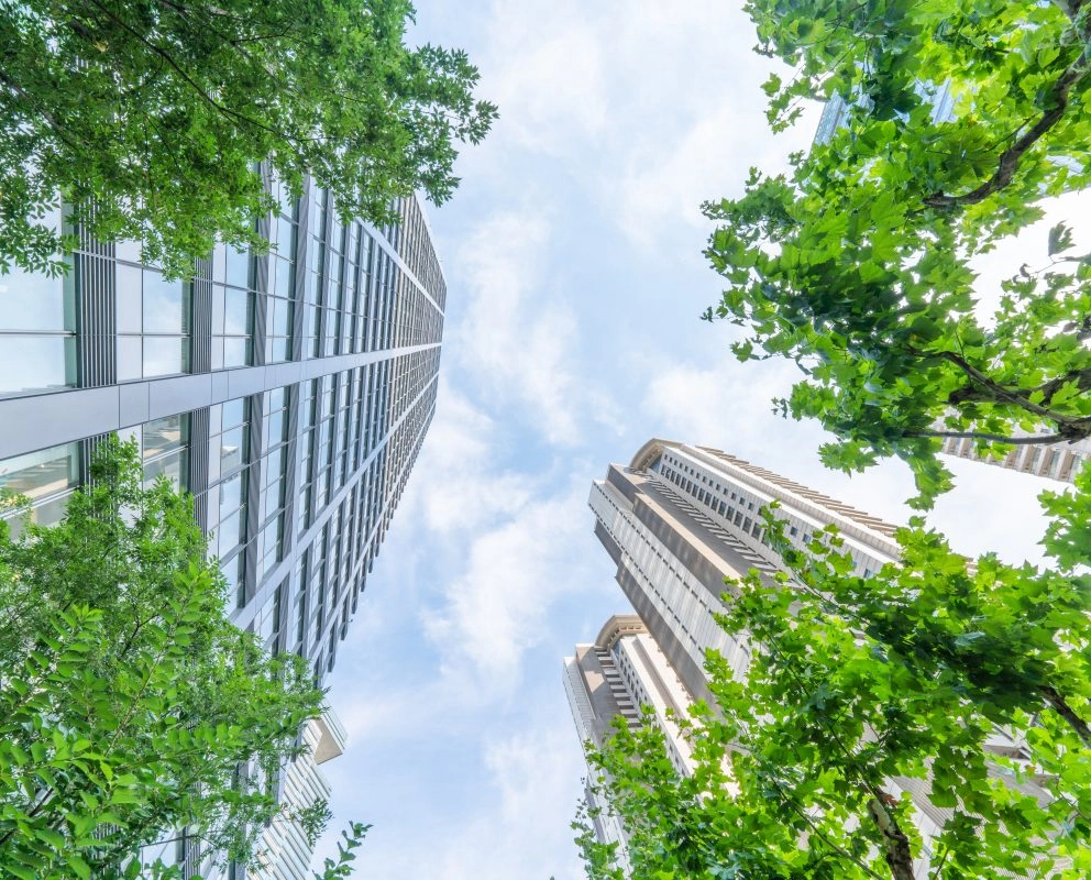 パブリケーション