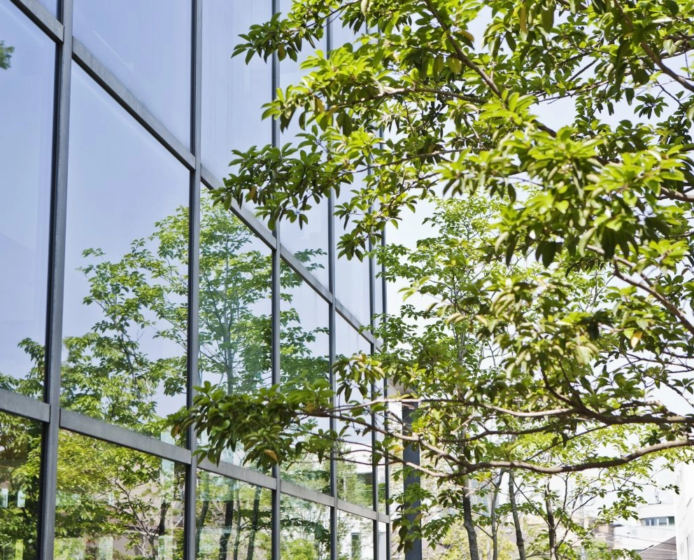 Our corporate sustainability strategy