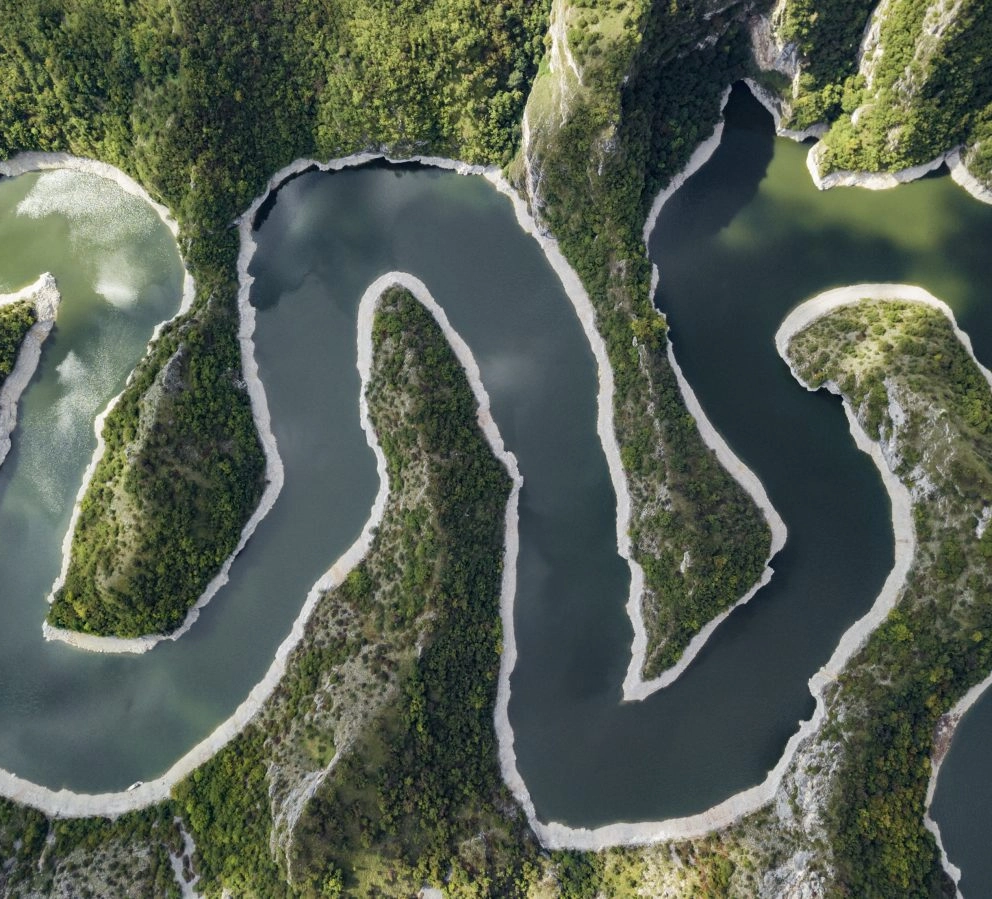 Sustainability Sustainability