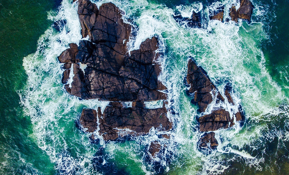 Sustainability Sustainability