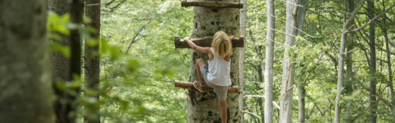 Har man krav på 3.jpg