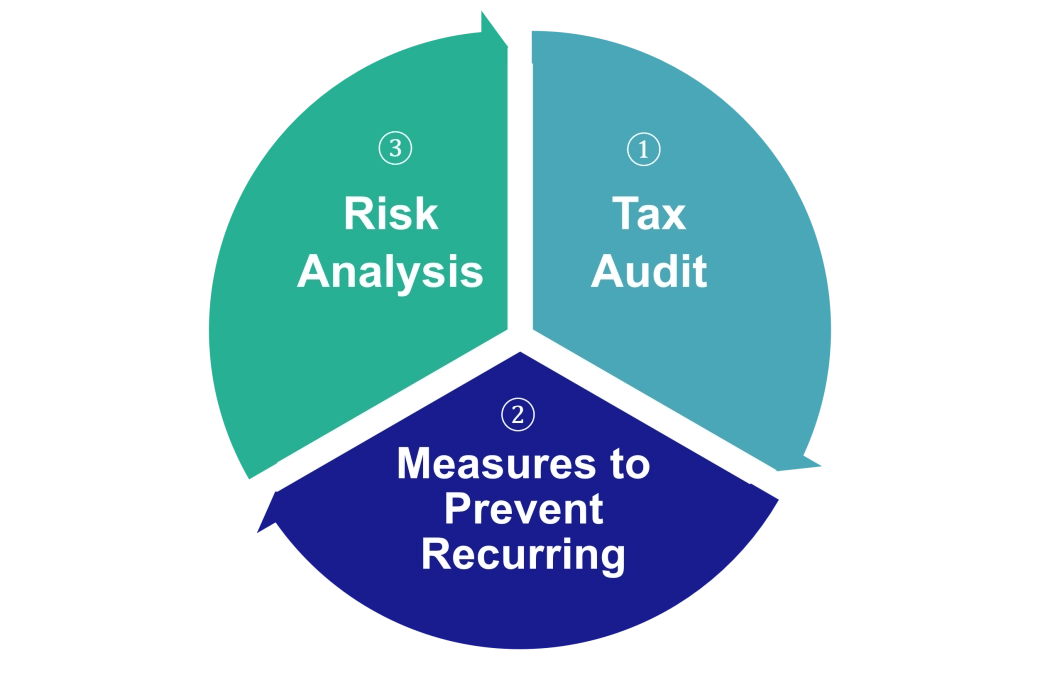 Graph_Tax Audit Risk Management Cycle.png