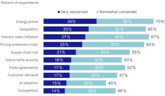 Pagina Navigating global market conditions - grafico 1.png