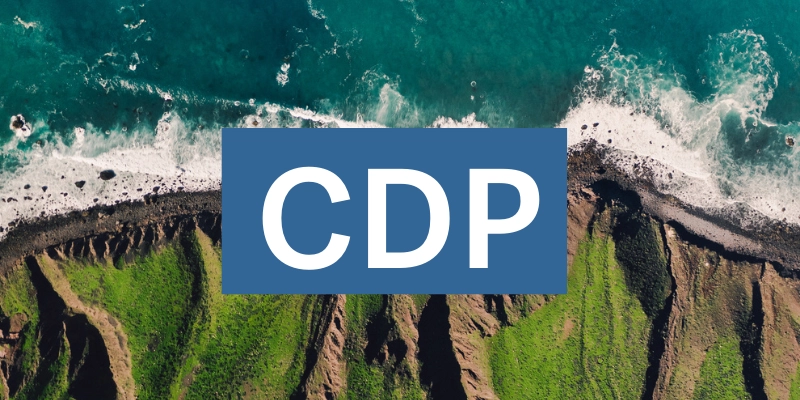 CDP score for Climate Change disclosures .png