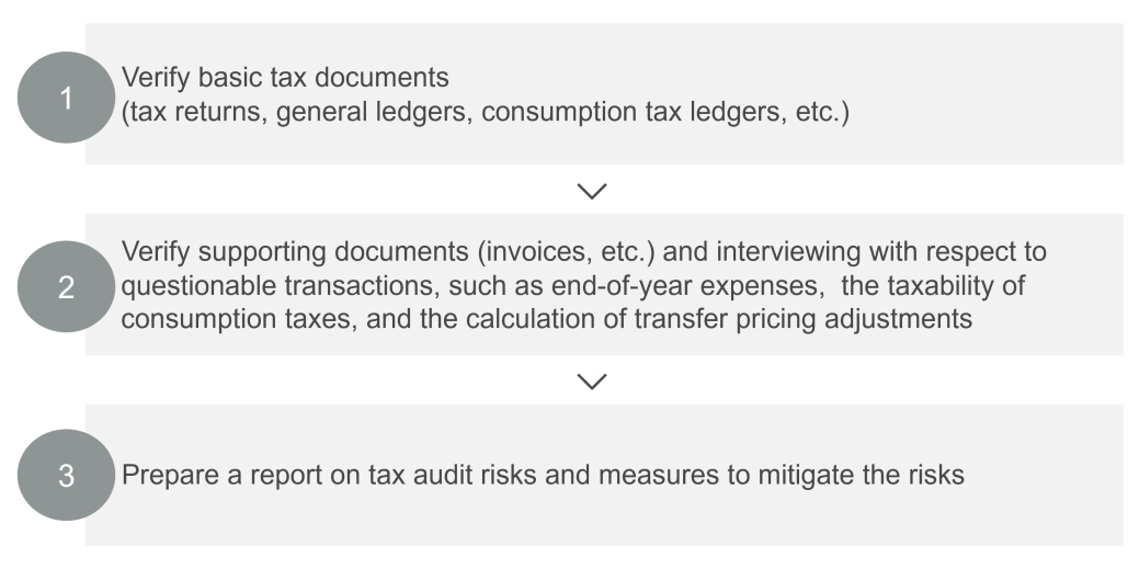 Chart_How Tax Audit Risk Analysis Works.png