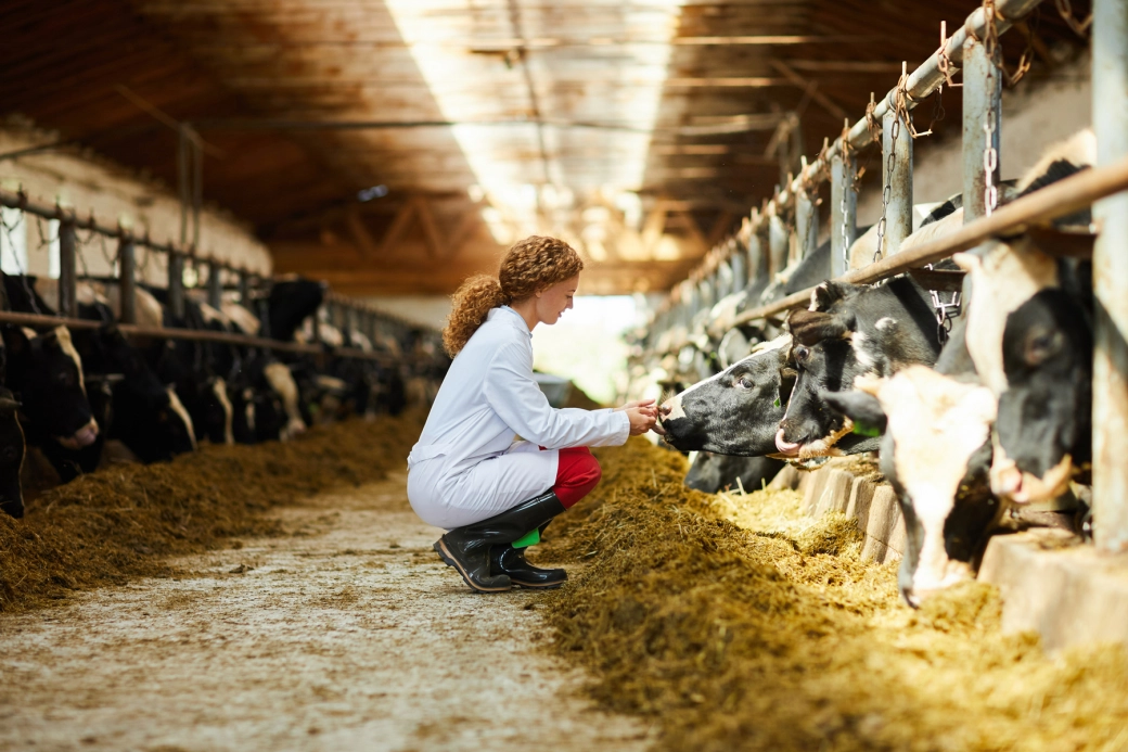 Leasing farmland: securing tax relief while protecting long-term value