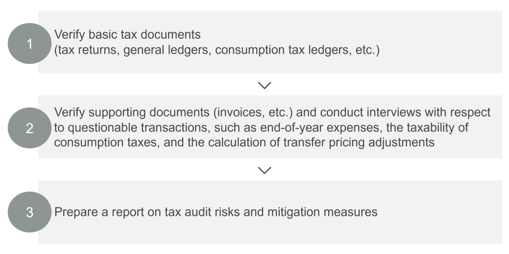 Chart_How Tax Audit Risk Analysis Works.png