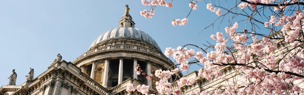 Voorjaarsnota 2025: fiscale maatregelen