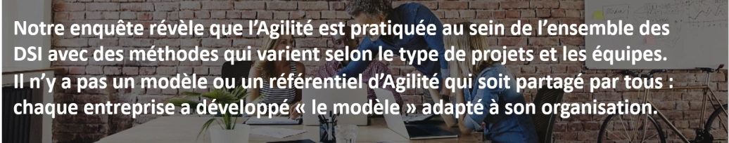 Enquete Agilit&eacute; Insight 3.png