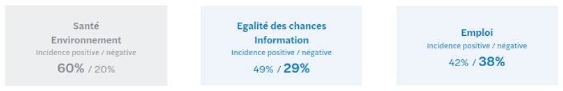 Quelques enjeux soci&eacute;taux de l'IA.png