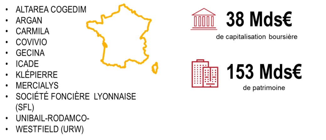 panel et indicateurs cl&eacute;s -NL fonciere S1 2020