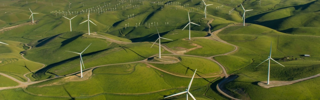 Energy-insights-c-suite.jpg