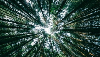 Balancing today and tomorrow 350 per 200