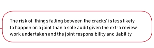Audit reform rebuttal 2