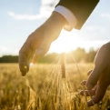 Article-sustaining-121x121_oe_full.jpg