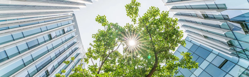 Regulators shift focus to bank’s ESG risk management - Mazars in Ireland