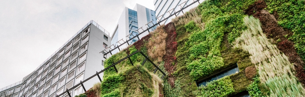 contractul colectiv Mazars Romania