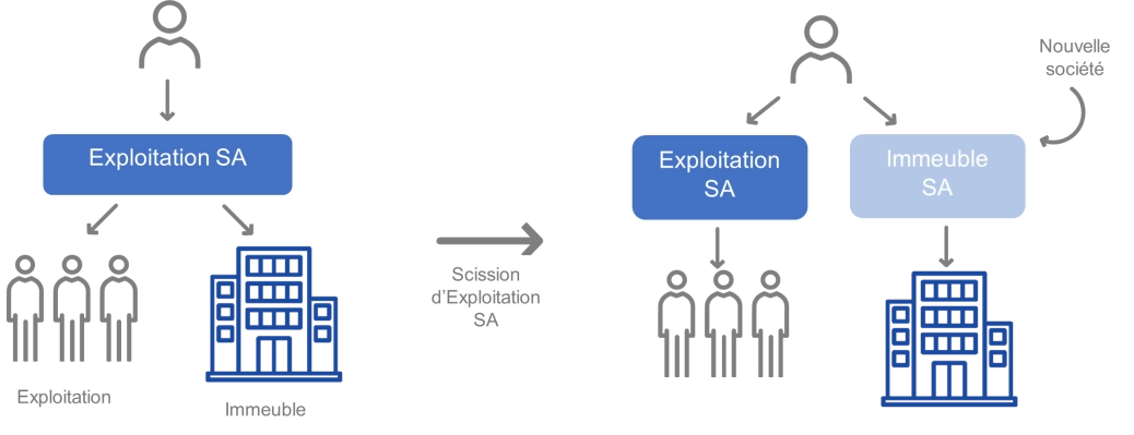 Test tax newsletter_FRA_Article 1