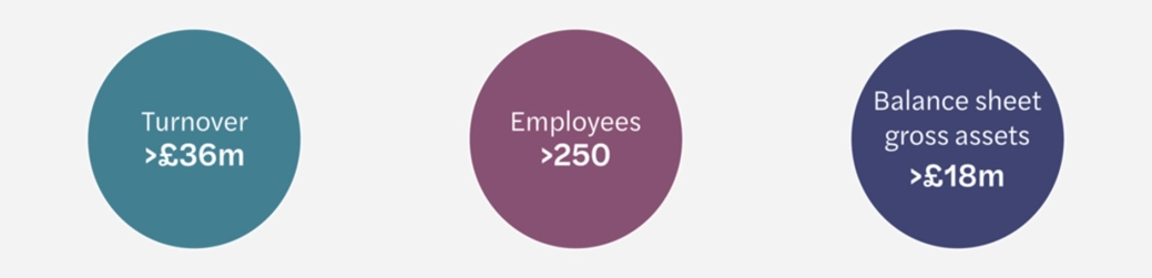 Decarbonisation large company graphic