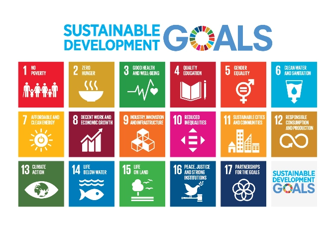 SDG 01