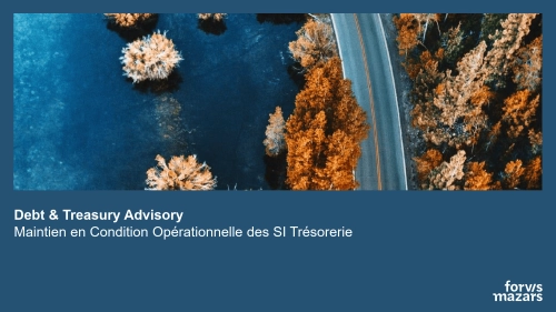 Maintien en Condition Op&eacute;rationnelle des SI Tr&eacute;sorerie