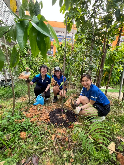 planting for tomorrow