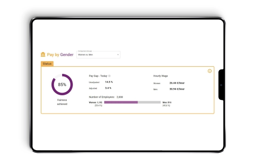 iPad Mockup_Pay by Gender.jpg