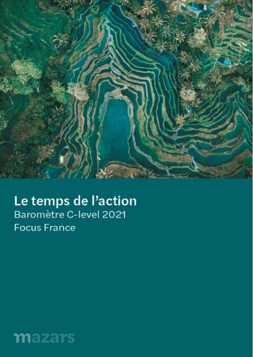 Key findings France.PNG