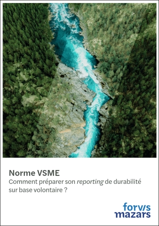 Couverture Guide VSME Janv 2026 (1).png