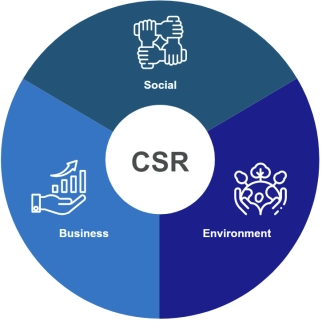 Social Business Environment pie chart