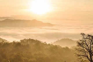 business and financial performance