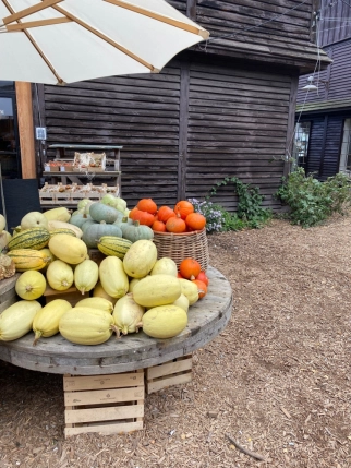 Stories 2021_For Good_December_Banegaarden_a