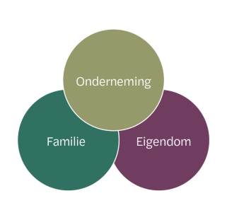 familiebedrijven cirkelmodel