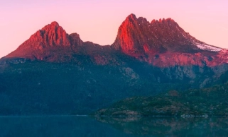 Set for growth_webpage body2