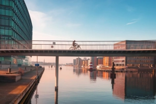 Set for growth_webpage body4